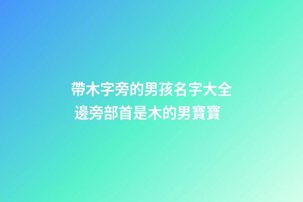 帶木字旁的男孩名字大全 邊旁部首是木的男寶寶